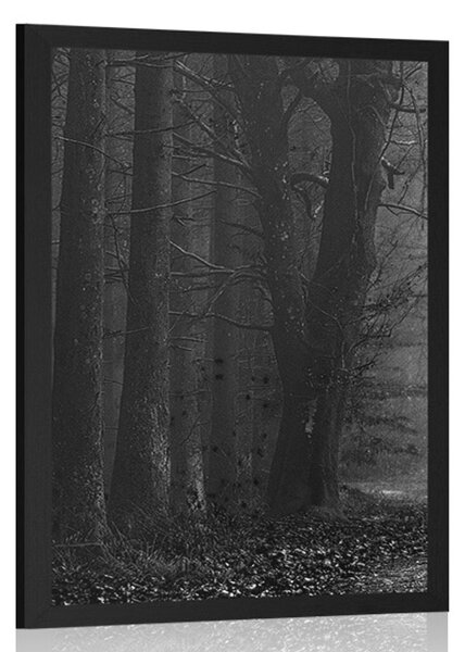 Poster drum în pădure în design alb-negru