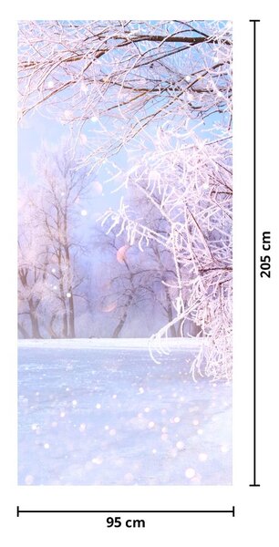 Fototapet pentru ușă - Iarnă geroasă (95x205cm)