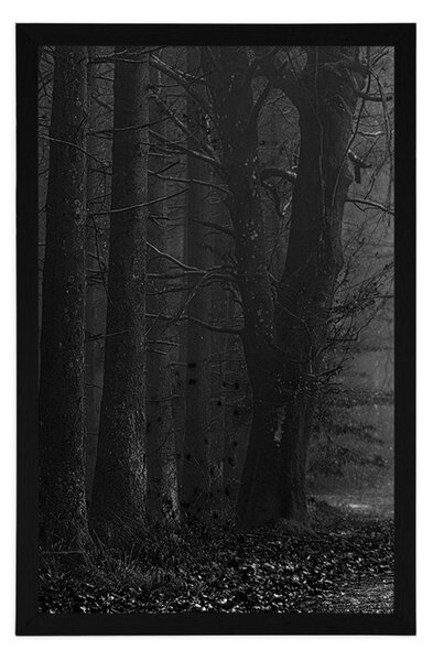 Poster drum în pădure în design alb-negru