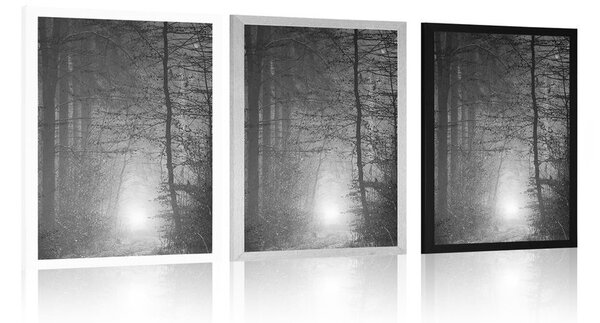 Poster lumină în pădure în design alb-negru