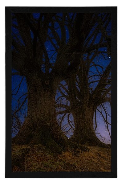 Poster copaci în peisajul nocturn