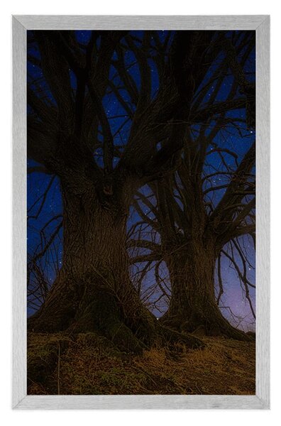 Poster copaci în peisajul nocturn