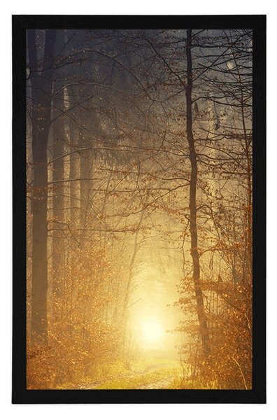 Poster lumină în pădure