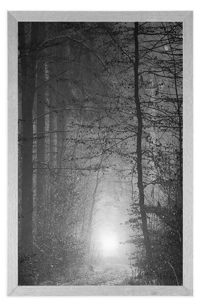Poster lumină în pădure în design alb-negru