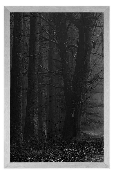 Poster drum în pădure în design alb-negru