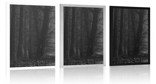 Poster drum în pădure în design alb-negru
