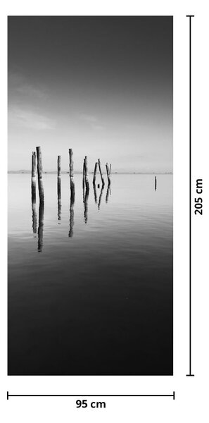 Fototapet pentru ușă - Oglinda apei alb-negru (95x205cm)
