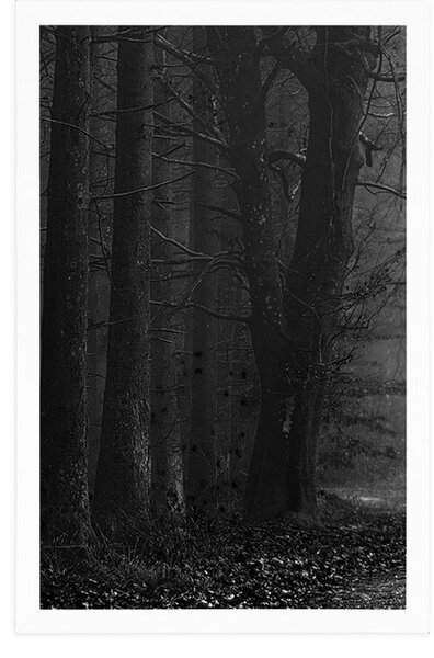 Poster drum în pădure în design alb-negru