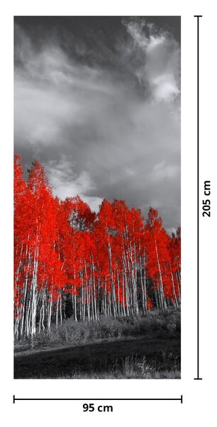 Fototapet pentru ușă - Copaci roșii (95x205cm)