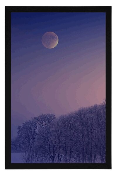 Poster lună plină deasupra satului