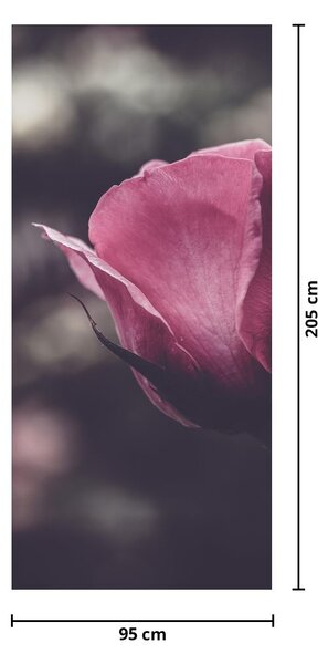 Fototapet pentru ușă - floare în prim plan (95x205cm)