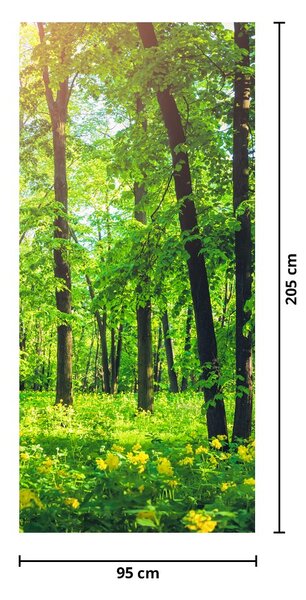 Fototapet pentru ușă - Pădure de foioase de primăvară (95x205cm)
