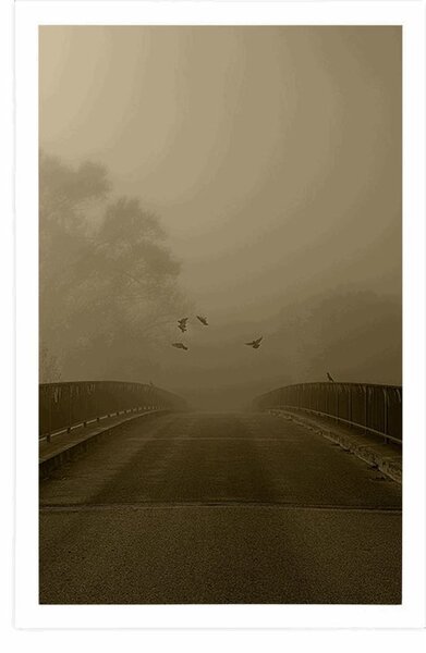 Poster zborul păsărilor deasupra podului în design sepia