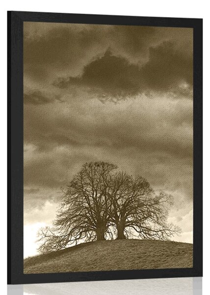 Poster copaci singuratici în sepia