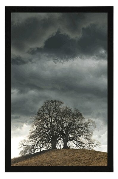 Poster copaci singuratici