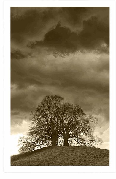Poster copaci singuratici în sepia