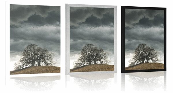 Poster copaci singuratici