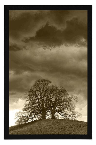 Poster copaci singuratici în sepia