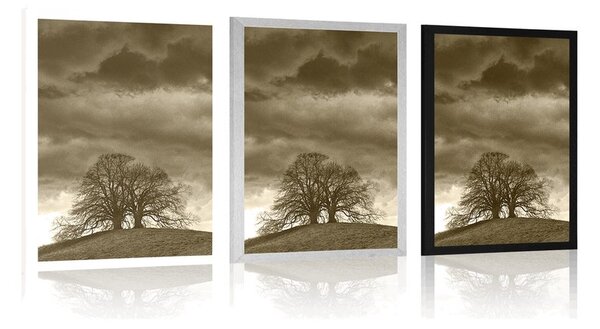 Poster copaci singuratici în sepia