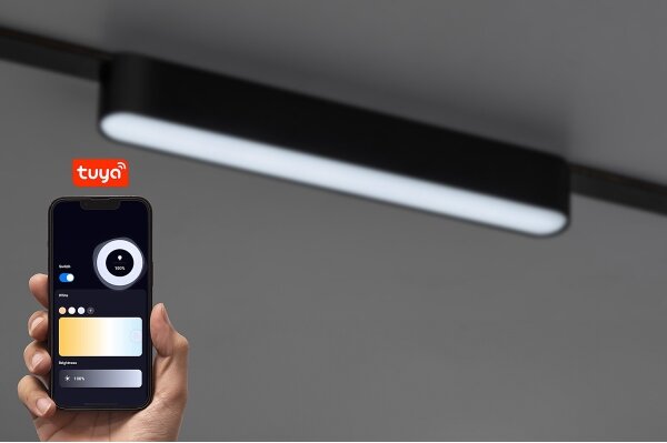 Plafonieră LED dimabilă pentru sistem de șină monofazic Rabalux 70123 LiTrack 12W/24V 22 cm