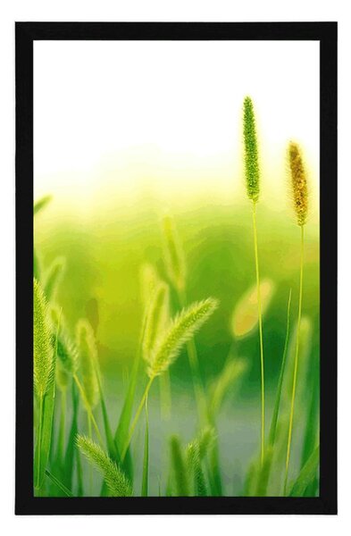 Poster lame de iarbă în design verde