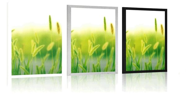 Poster lame de iarbă în design verde