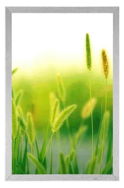 Poster lame de iarbă în design verde