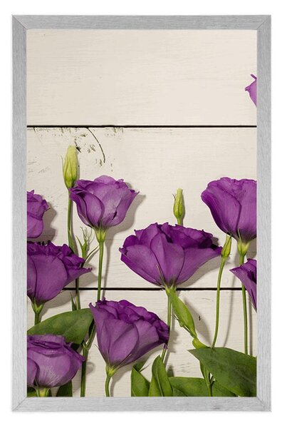 Poster flori frumoase violete