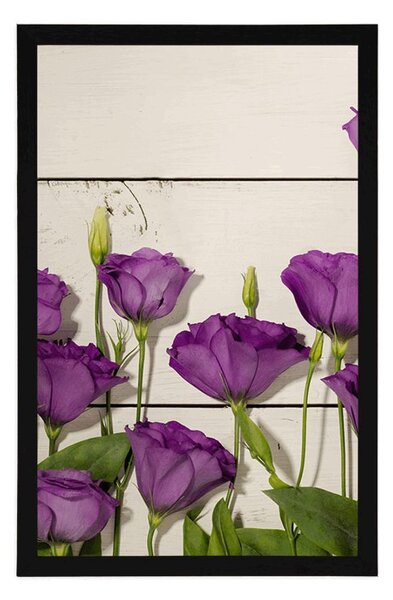 Poster flori frumoase violete