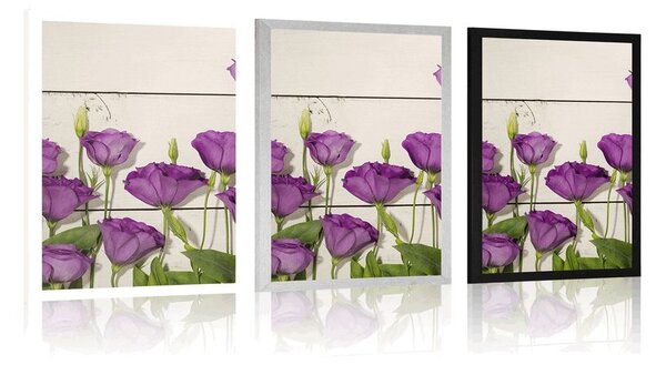 Poster flori frumoase violete