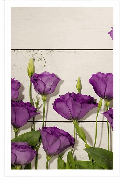 Poster flori frumoase violete
