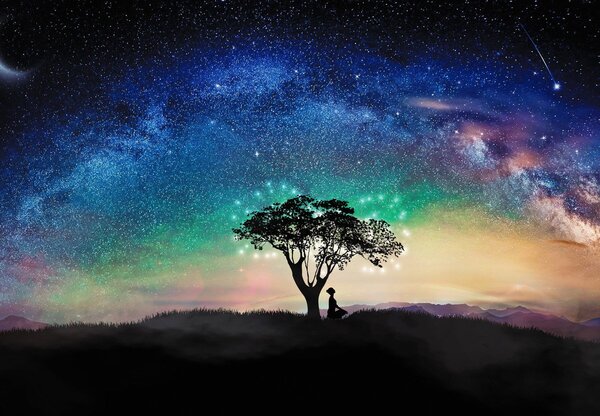 Fototapet - Aurora și copaci (147x102 cm)