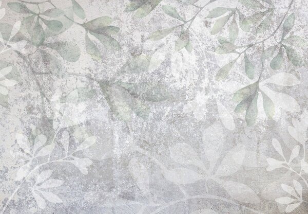 Fototapet - Frunze pe perete (147x102 cm)