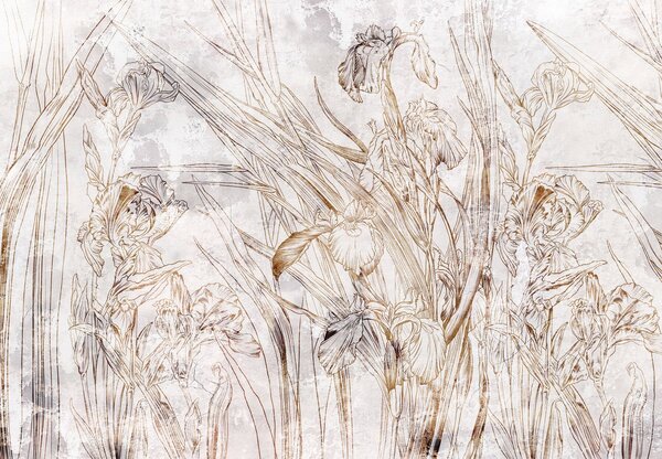 Fototapet - Iriși (147x102 cm)