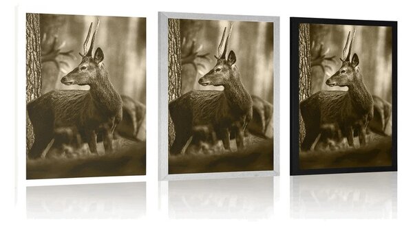 Poster cerb în pădure de pini în design sepia