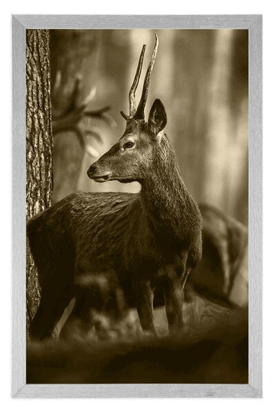 Poster cerb în pădure de pini în design sepia
