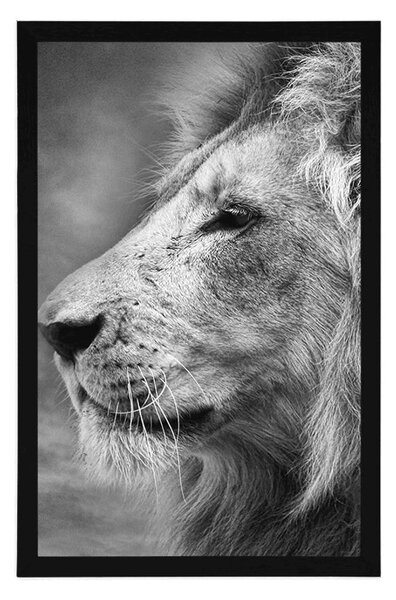 Poster leul african în design alb-negru