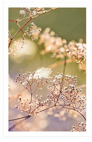 Poster natura moartă din flori