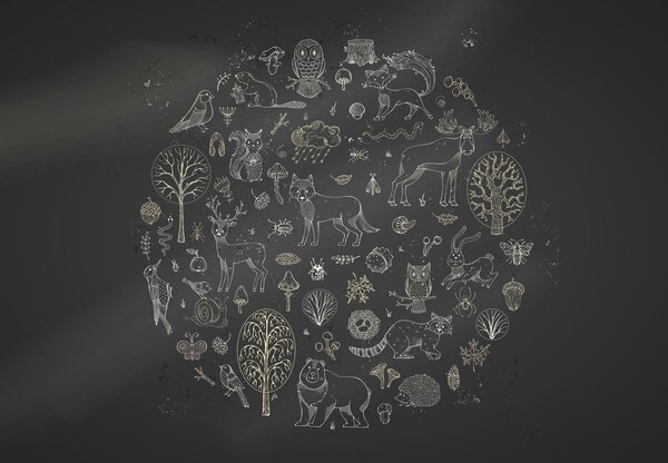 Fototapet - Natura (147x102 cm)