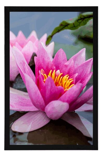 Poster floare roz de lotus
