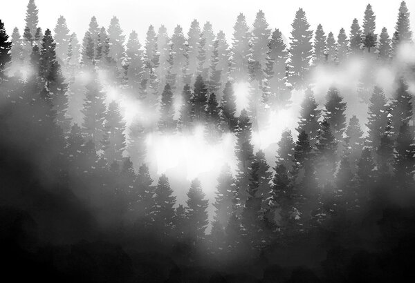 Fototapet - Pădure în ceață (147x102 cm)