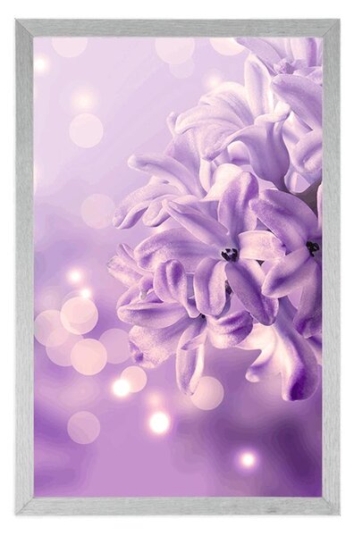 Poster floare violetă de liliac