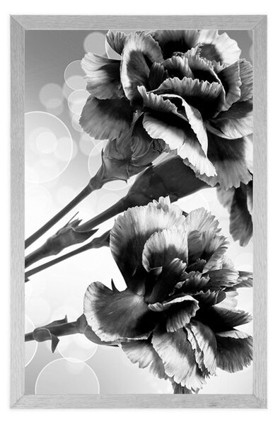 Poster floare de garoafă în design alb-negru