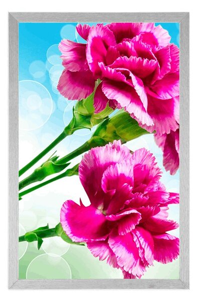 Poster floare de garoafă