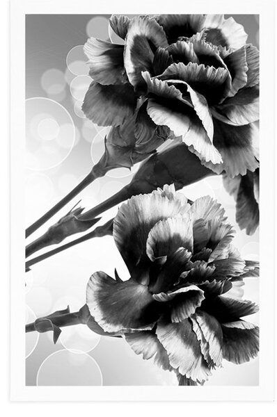 Poster floare de garoafă în design alb-negru