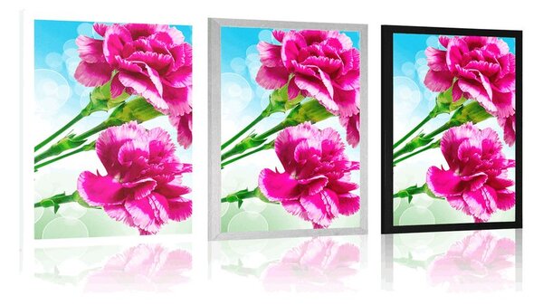 Poster floare de garoafă