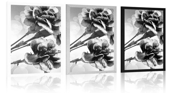 Poster floare de garoafă în design alb-negru
