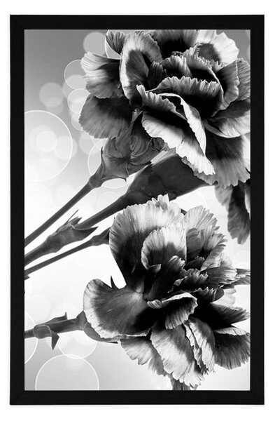 Poster floare de garoafă în design alb-negru