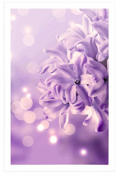 Poster floare violetă de liliac