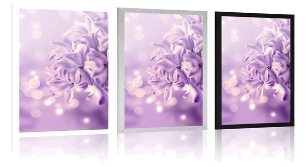Poster floare violetă de liliac